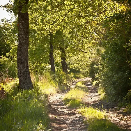 Relais Parco Del Subasio *