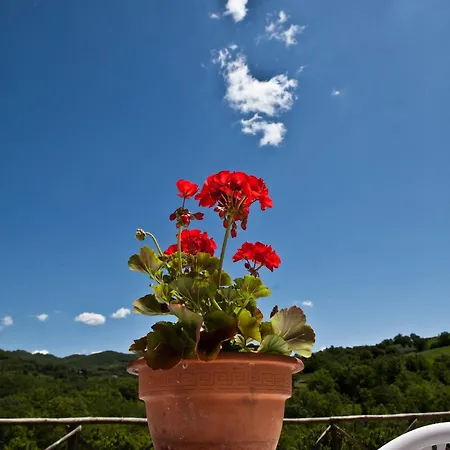 Relais Parco Del Subasio *