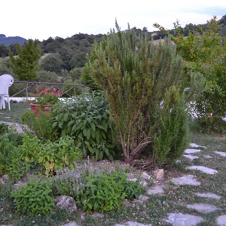 Relais Parco Del Subasio Agroturismo Piano Delle Pieve