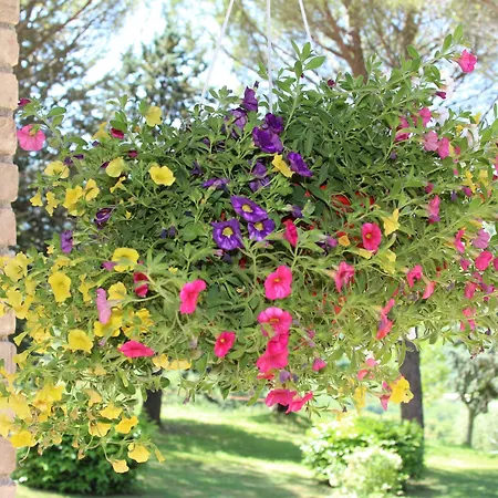 Relais Parco Del Subasio