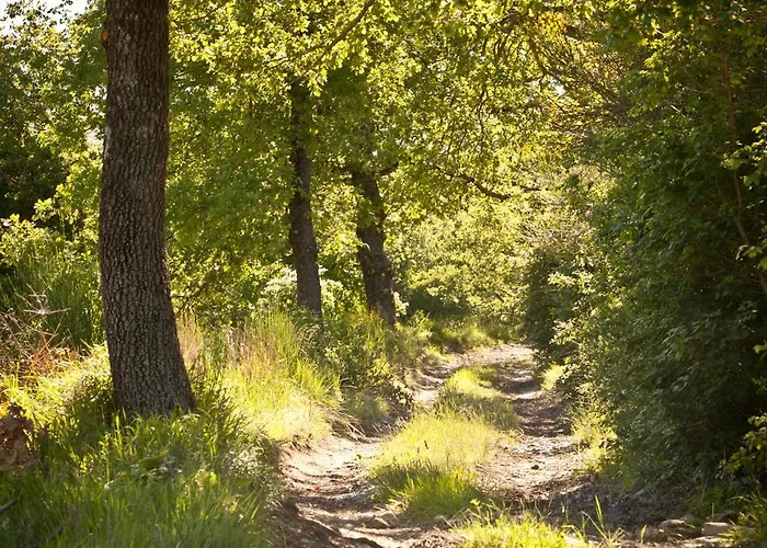 Relais Parco Del Subasio *