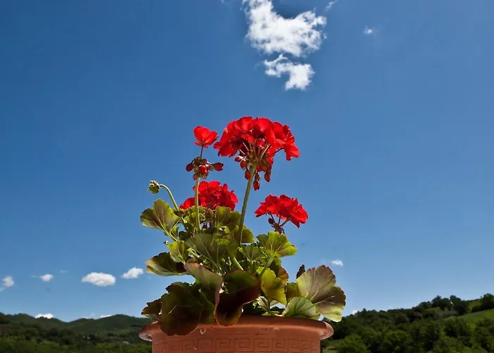 Relais Parco Del Subasio *