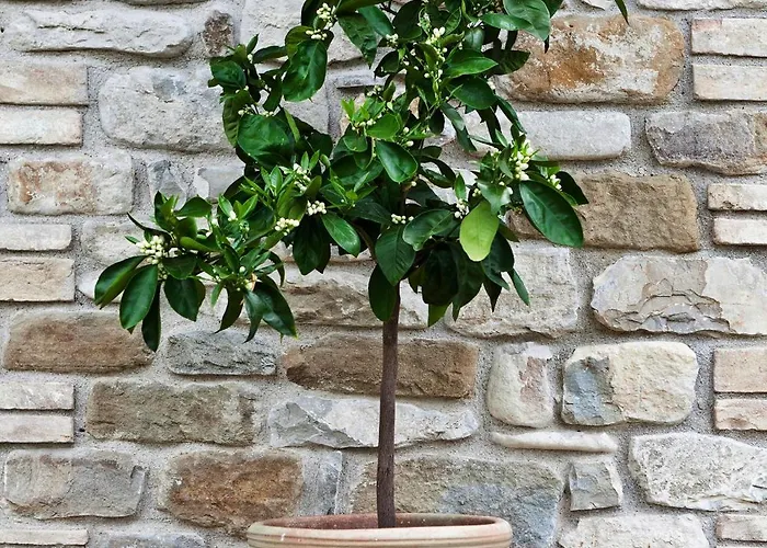 Relais Parco Del Subasio * Piano Delle Pieve