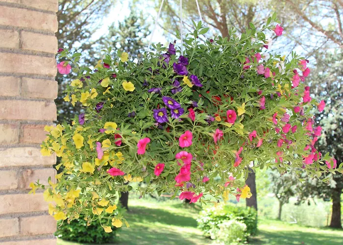 Relais Parco Del Subasio